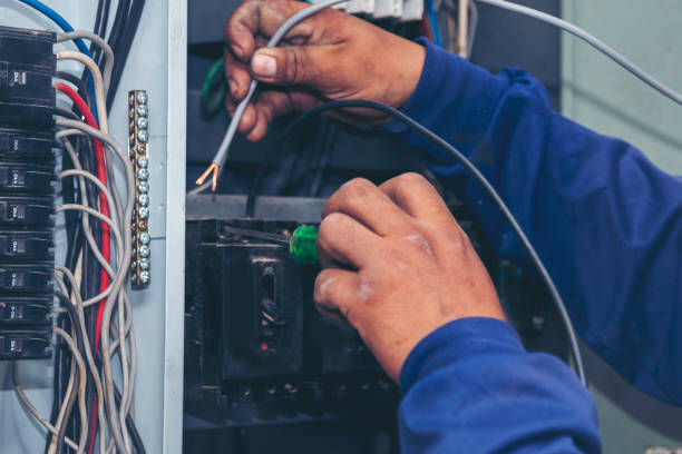 Best Electrical Upgrades for Homes  in Skyline, AL