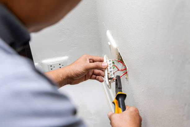 Best Generator Installation Services  in Skyline, AL