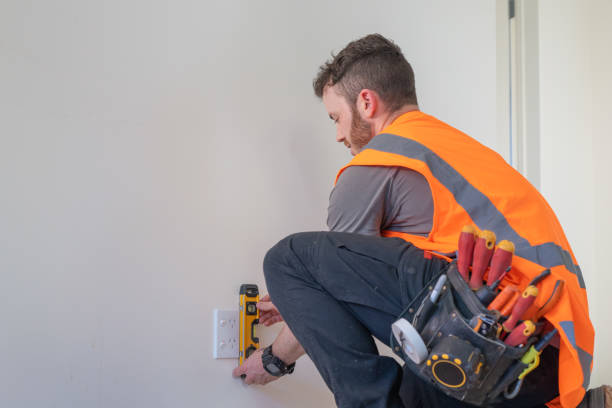 Best Ceiling Fan Installation Electrician  in Skyline, AL